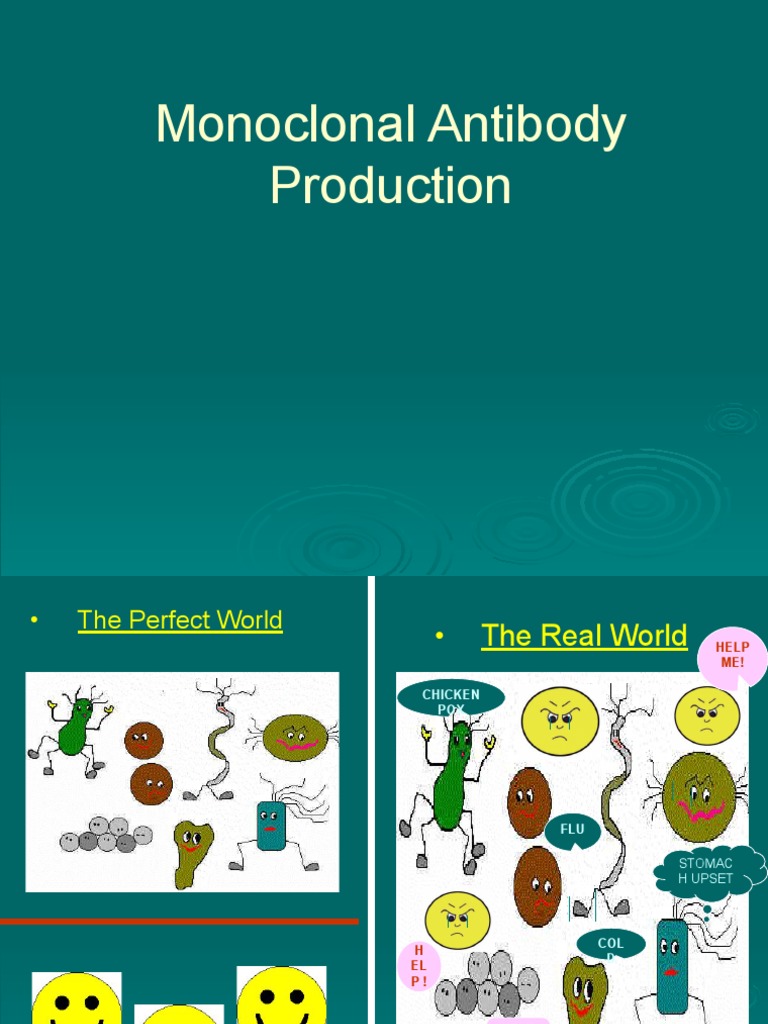 Monoclonal Antibodies PDF | PDF | Monoclonal Antibody | Cell Culture