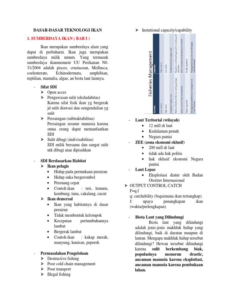 Ringkasan Ddti Uts | PDF