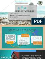 Derecho de Propiedad