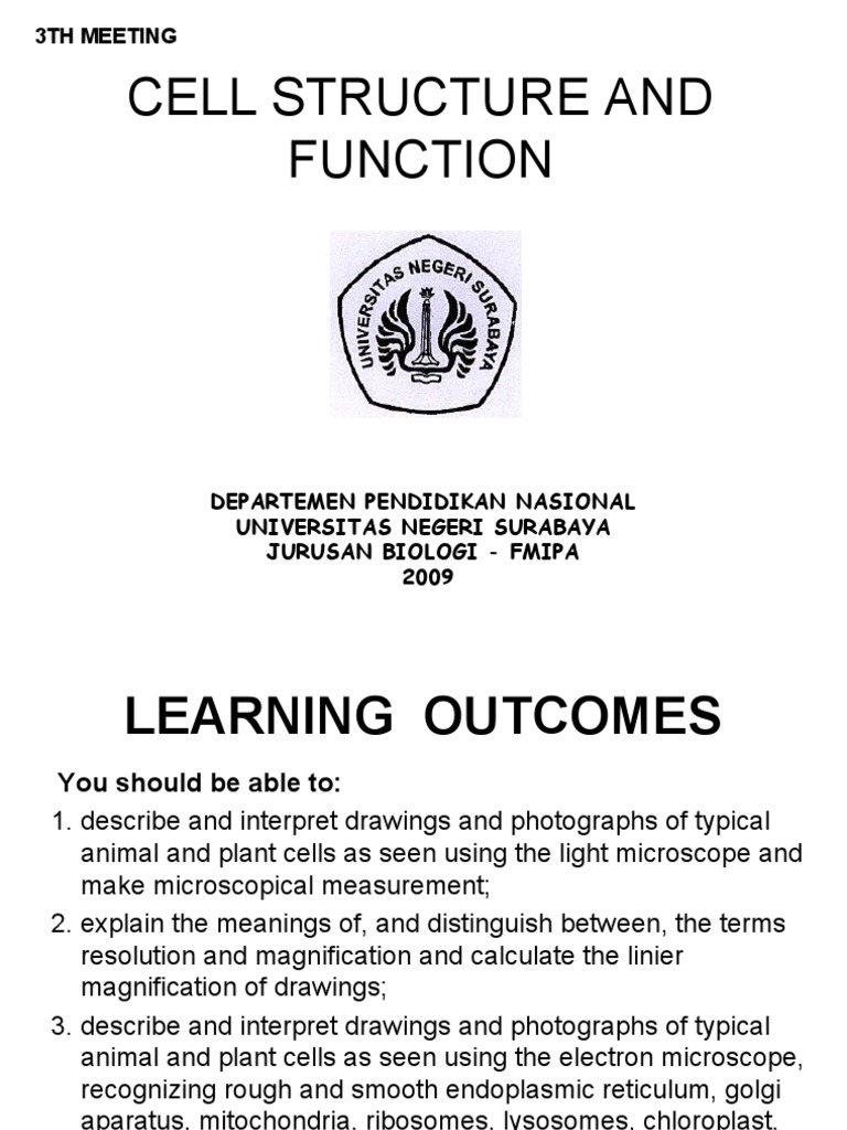 Cell Structure and Function: 3Th Meeting | PDF | Cell (Biology ...