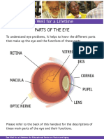 See Well For A Lifetime: Parts of The Eye