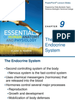 Ch 09 Endocrine-System[1] [Autosaved]