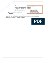 P2 - Eq2 - Microscopia y Micrometria - 1IM1