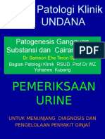 Kuliah Patologi Klinik FK Undana: Patogenesis Gangguan Substansi Dan Cairan Tubuh