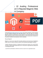 Advantages of Availing Professional Services From A Reputed Magento Web Development Company