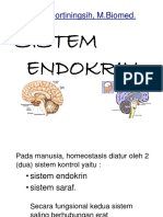 Sistem Endokrin