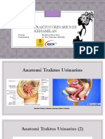 Fisiologi Traktur Urinarius Di Kehamilan