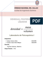 Determinación experimental de la densidad del metanol a diferentes temperaturas usando picnómetro