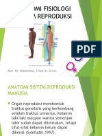 reproduksi