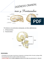 Osteogenesis Craneal