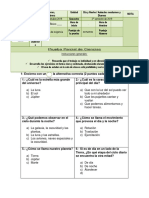 prueba parcial dia y noche animales nocturnos.docx