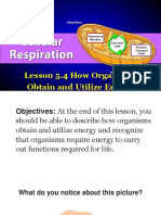 Lesson 5.4 How Organisms Obtain and Utilize Energy.pptx