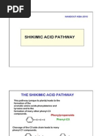 Shikimic Pathway