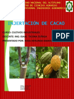 InjertoCacao