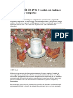 Alimentacion de Aves