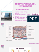 Lesiones Pigmentarias