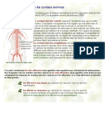 Parties Systeme Nerveux PDF