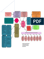 Mapa Mental Libro Soy Gerente y Ahora Que