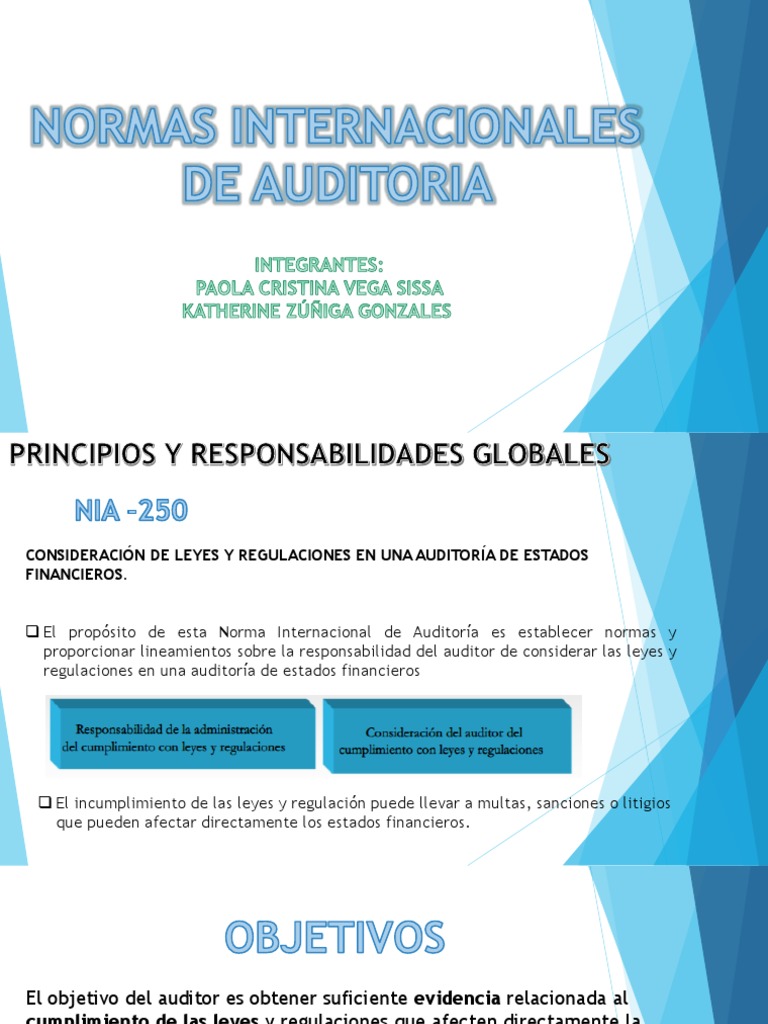 Normas Internacionales de Auditoria | PDF | Auditoría | Contralor