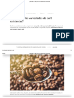 【 Variedades Del Café 】Guía Con Las Variedades de Comercializadas