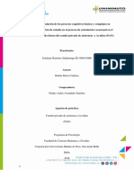 Guia para Estimulaciòn Proyecto Devolucion Creativa