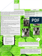 green.pdf