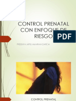 Control Prenatal Con Enfoque de Riesgo