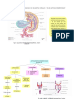 5 - Caso2