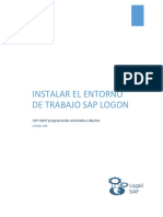 Instalar Entorno de Trabajo SAP