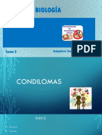 Proyecto biología_condilomas_1.pptx