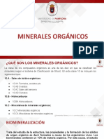 Minerales Biogenicos PDF