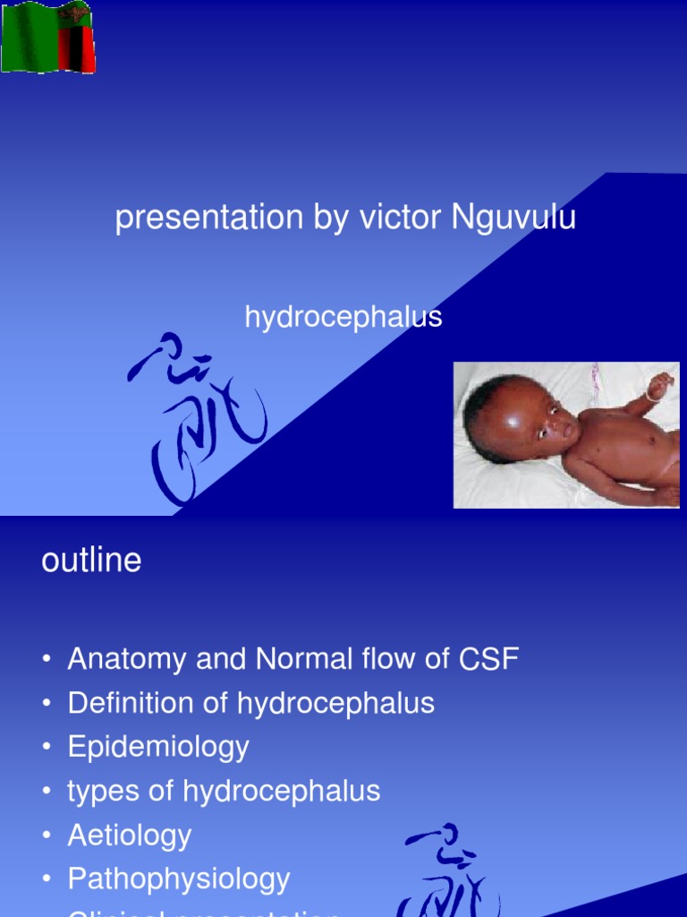 Hydro Cep Hal Us | PDF | Cerebrospinal Fluid | Human Anatomy