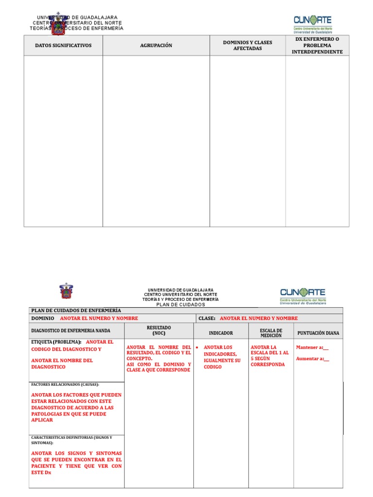 Formato Plan de Cuidados | PDF | Ciencias de la Salud | Cuidado de la salud