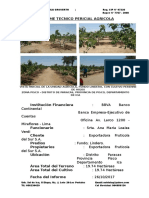 INFORME Tecnico Exportadora Frutícola Del Sur S.A. - Zona Pisco - Octubre 2019