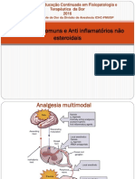 Aula de Anti Inflamatórios Não Esteroidais - 05 - 10 - 2016 PDF