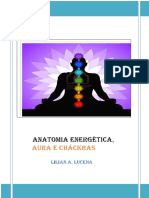 02-Anatomia-Energética-Aura-E-Cháckras Lilian PDF