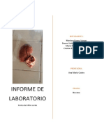 Informe de Laboratorio