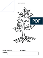 Tarea Nº 21 2do q 2019