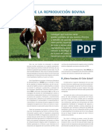 cys_36_40-41_Fisiologia de la reproduccion bovina.pdf