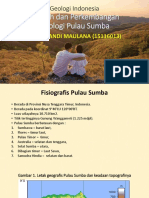 Geologi Indonesia (SUMBA)