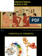 Aula Mão e Pé PDF