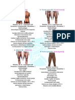 Biomagnetismo Rastreo y Puntos