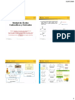 Acidos Carboxílicos PDF