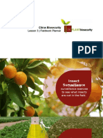 Yr9 Citrus Lesson 3 FieldworkPlanner - Reduced
