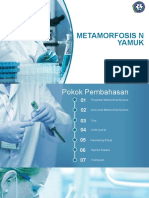 Metamoefosis Nyamuk.pptx