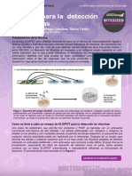 ELISPOT Assay Citocine