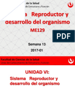 Sistema Reproductor Masculino PDF