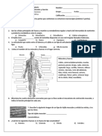 Examen Final