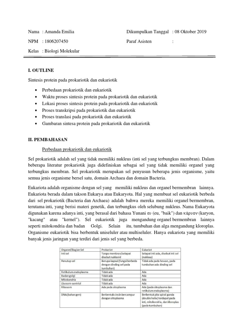 Perbandingan Sintesis Protein Prokariotik dan Eukariotik | PDF | Sains ...
