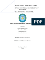 RECURSOS NO RENOVABLES RECICLADOS.docx